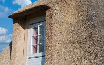 Lee Clump thatch roof disadvantages